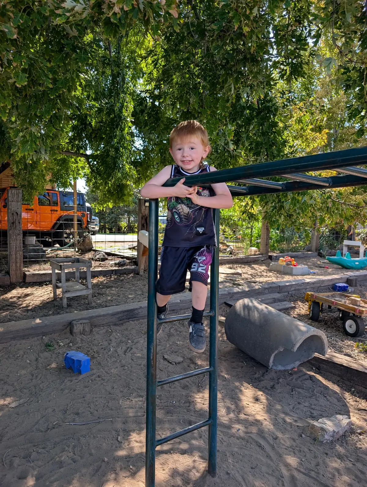 A grinning child standing at the top rung of a green monkey-bar ladder beneath a leafy shade tree