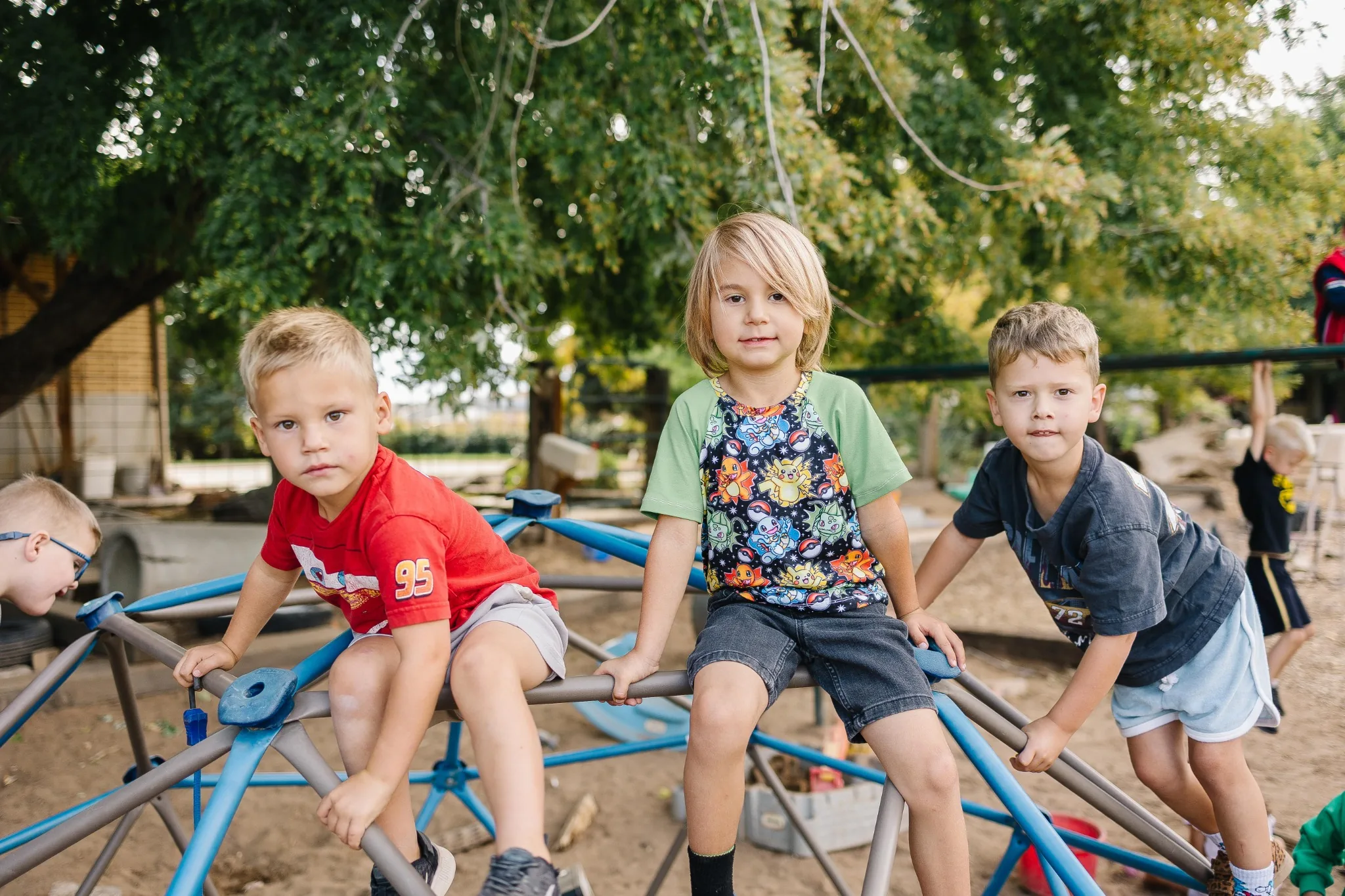 Three preschoolers paused on a blue climbing dome under the shade tree, looking toward the camera